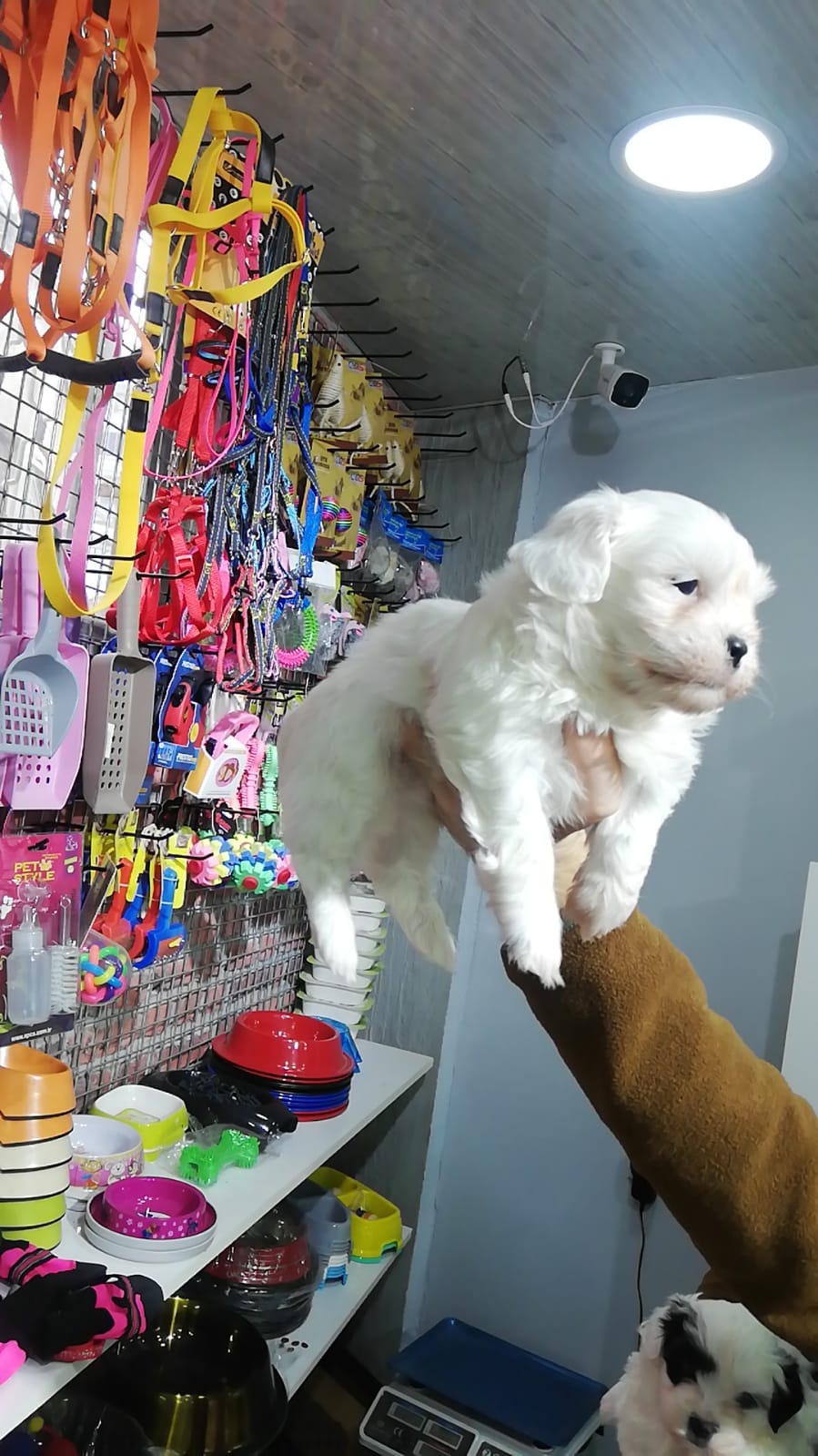 WhatsApp-Image-2021-01-08-at-16.56.50