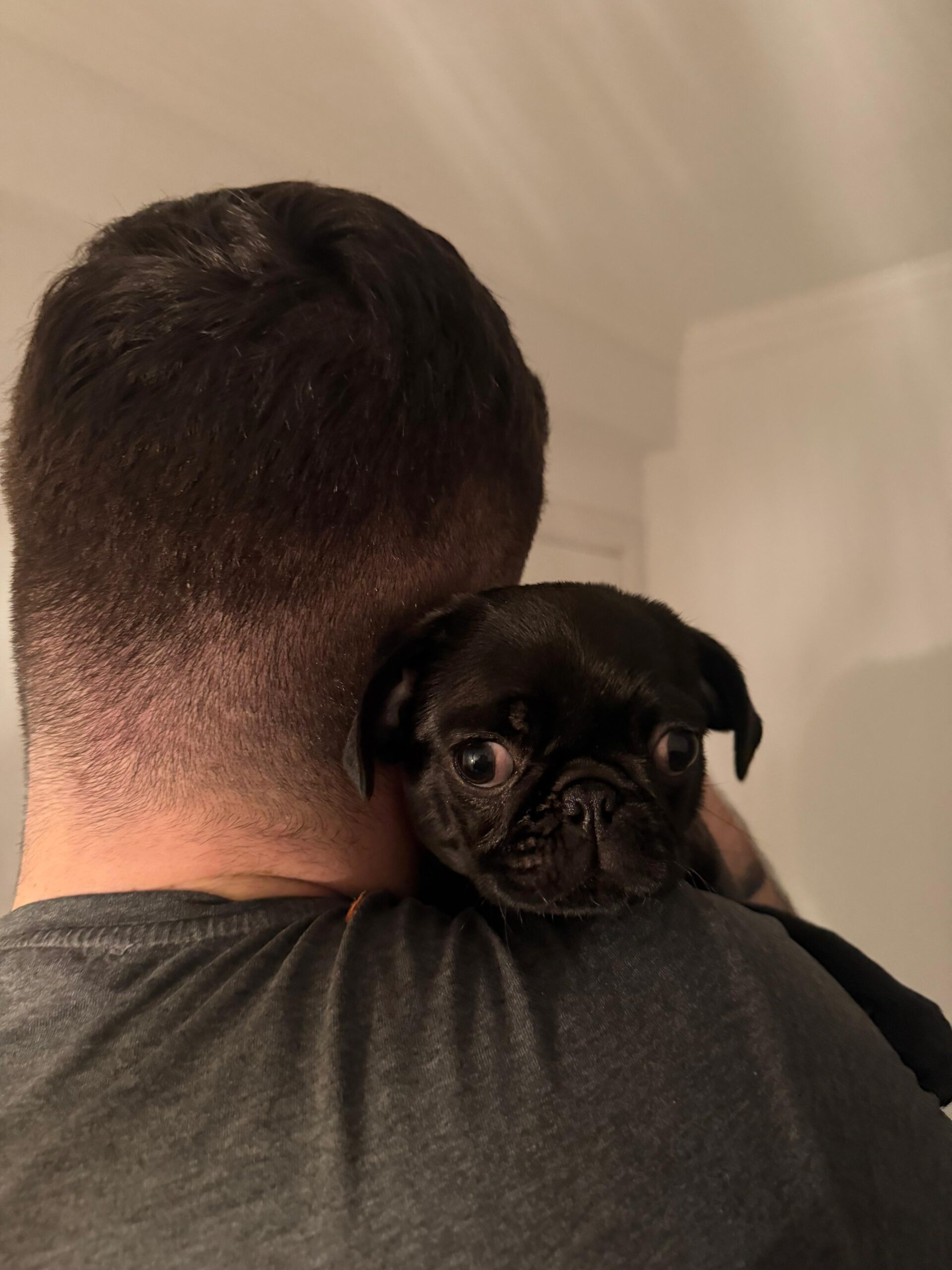 44ec34f7-582a-4e43-ba15-f73fb4cb88de