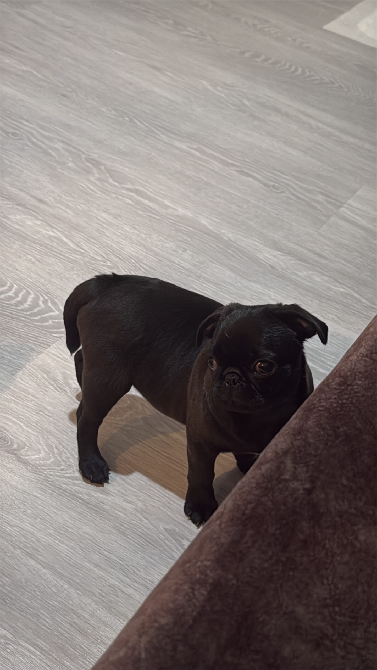 A5934604-B207-46C2-85AE-458FA90EE8C1